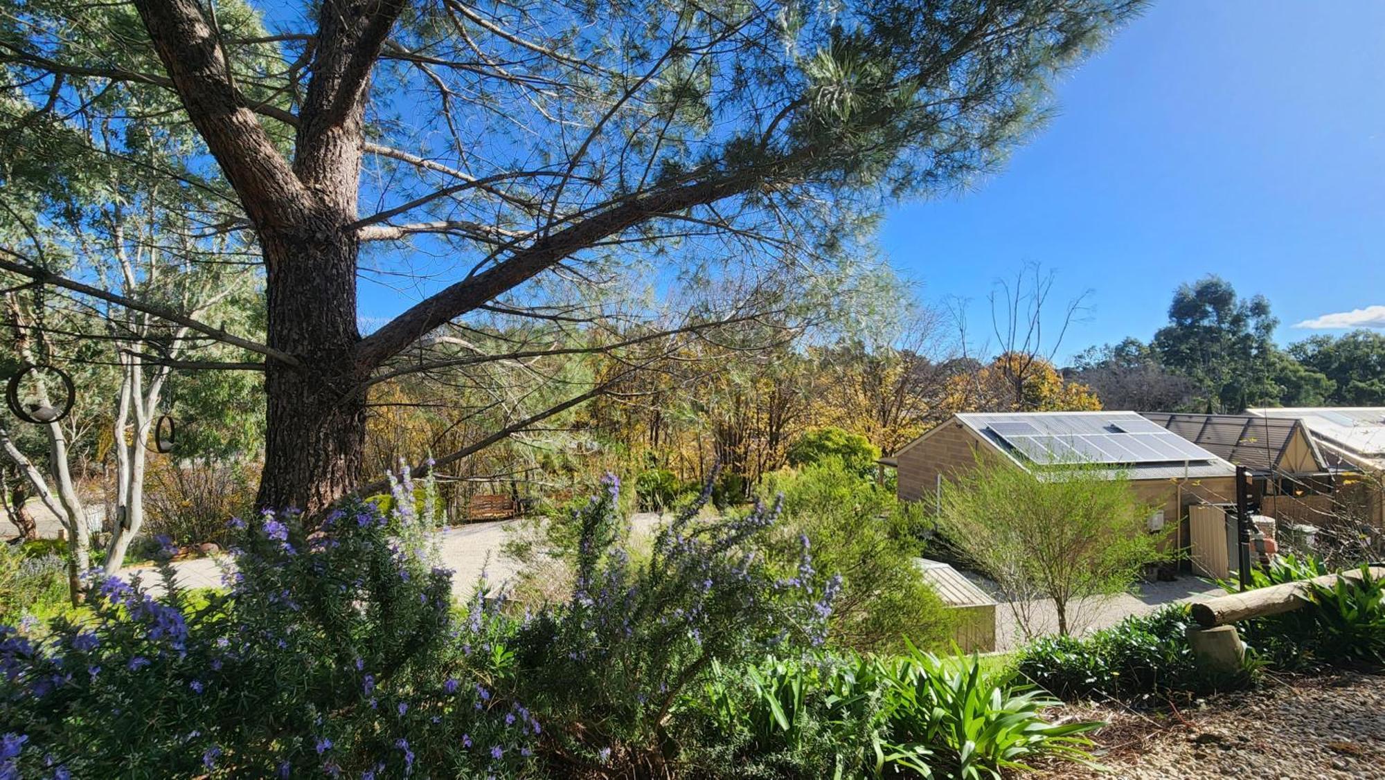 Riesling Trail & Clare Valley Cottages Стая снимка