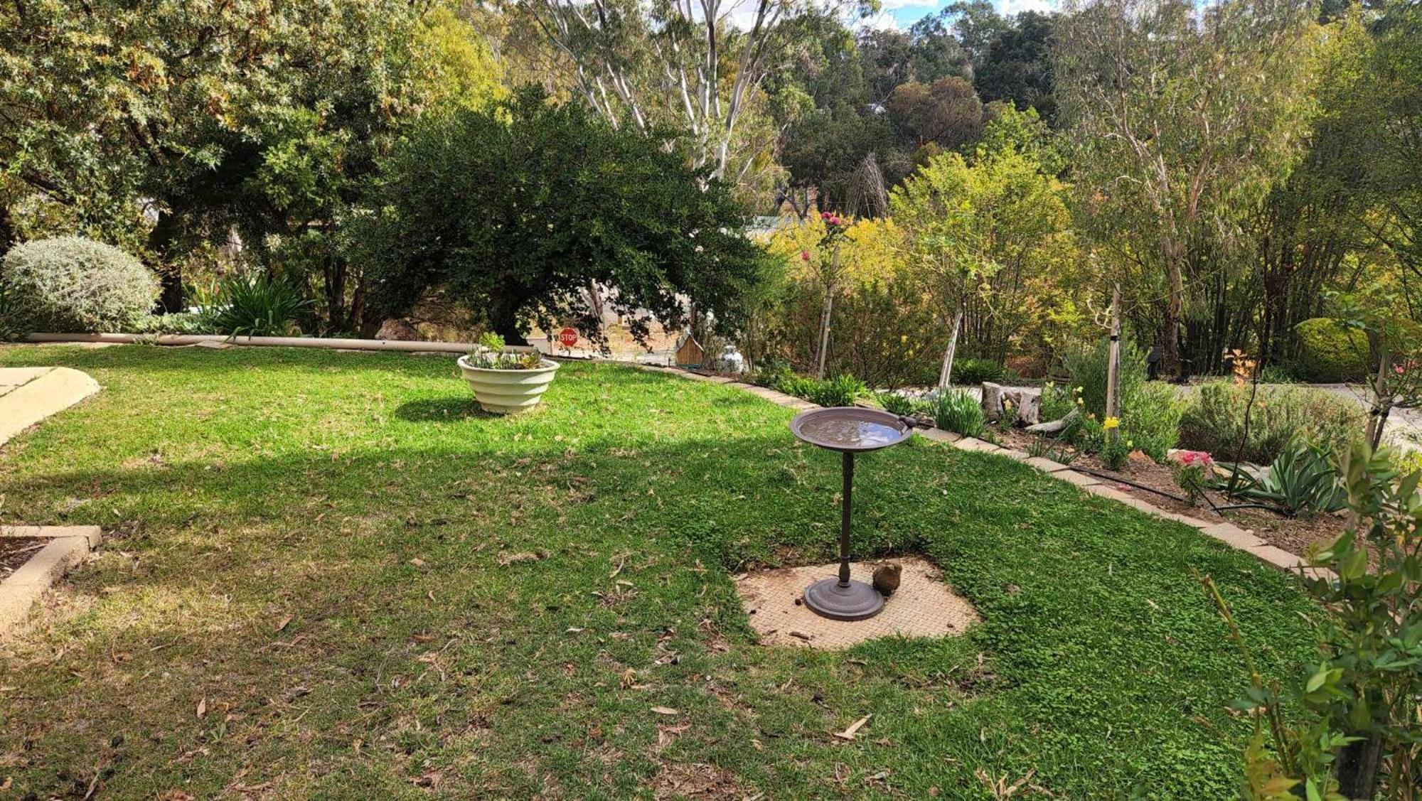 Riesling Trail & Clare Valley Cottages Стая снимка